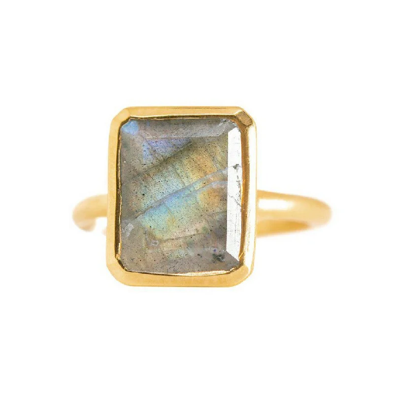 Get Ready To Sparkle – Special Jewelry Discounts Rectangle Ring in Labradorite