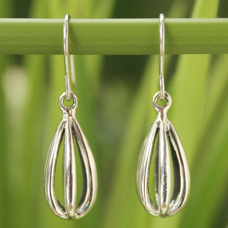 Limited-Stock Jewelry Clearance – Grab Your Favorites Now Birdcage Sterling Silver Dangle Earrings