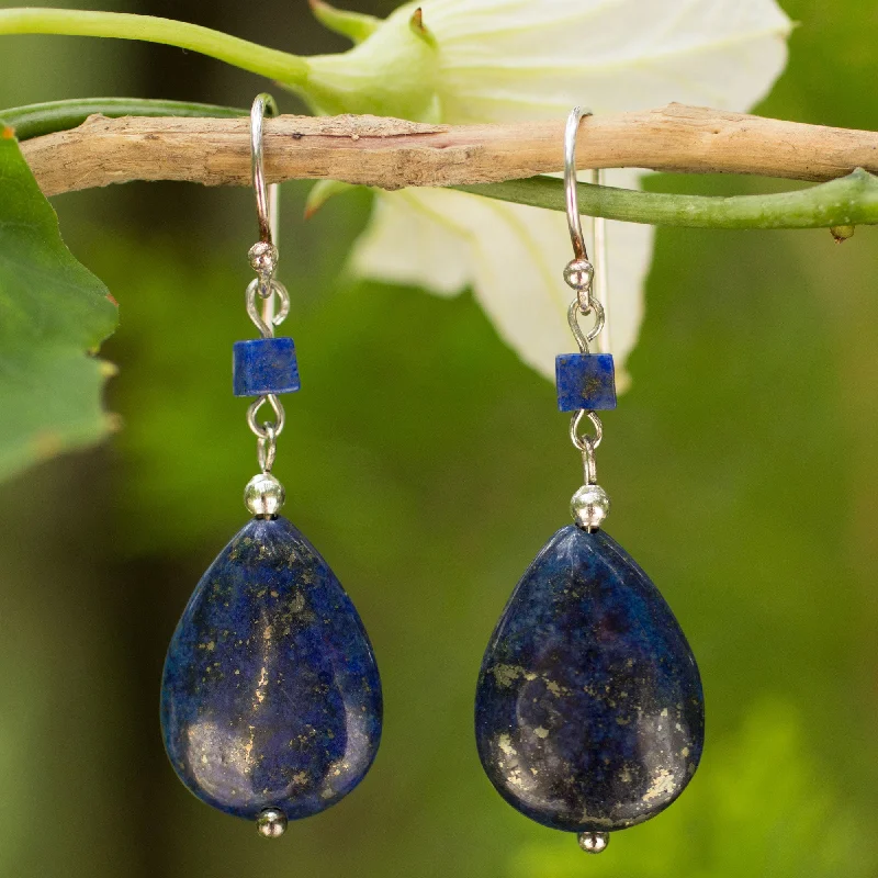 Trendy Minimalist Jewelry For Everyday Wear Blue Lily Lapis Lazuli Silver Earrings